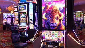 one x bet ကာစီနို Live Casino Baccarat Dealer Myanmar ကစားသမား HD Streaming